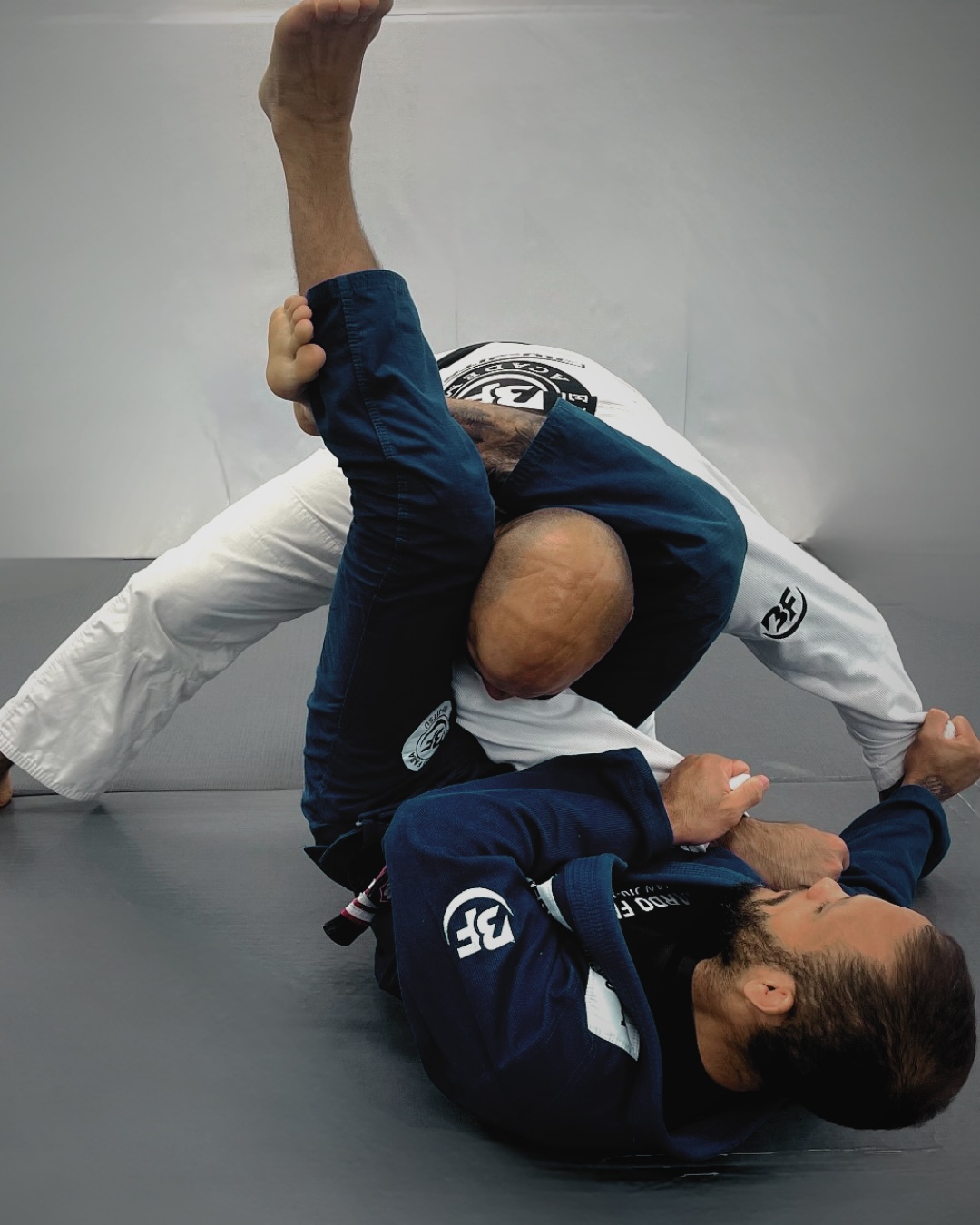 Adults Brazilian Jiu-Jitsu Program